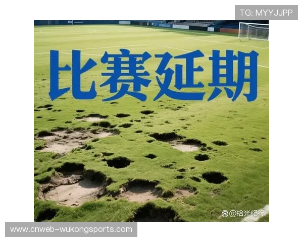 深圳新鹏城主场草坪问题致与武汉三镇比赛延期