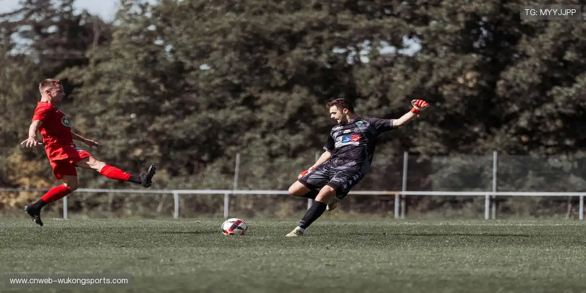 正品周边彰显态度,球迷专属热血收藏🎯